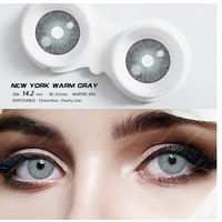 Контактные линзы Eyeshare New York Pro, 2 шт., R 8,5, warm gray, 1 уп.