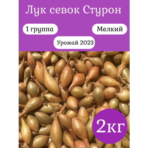 Лук-севок Стурон 2кг