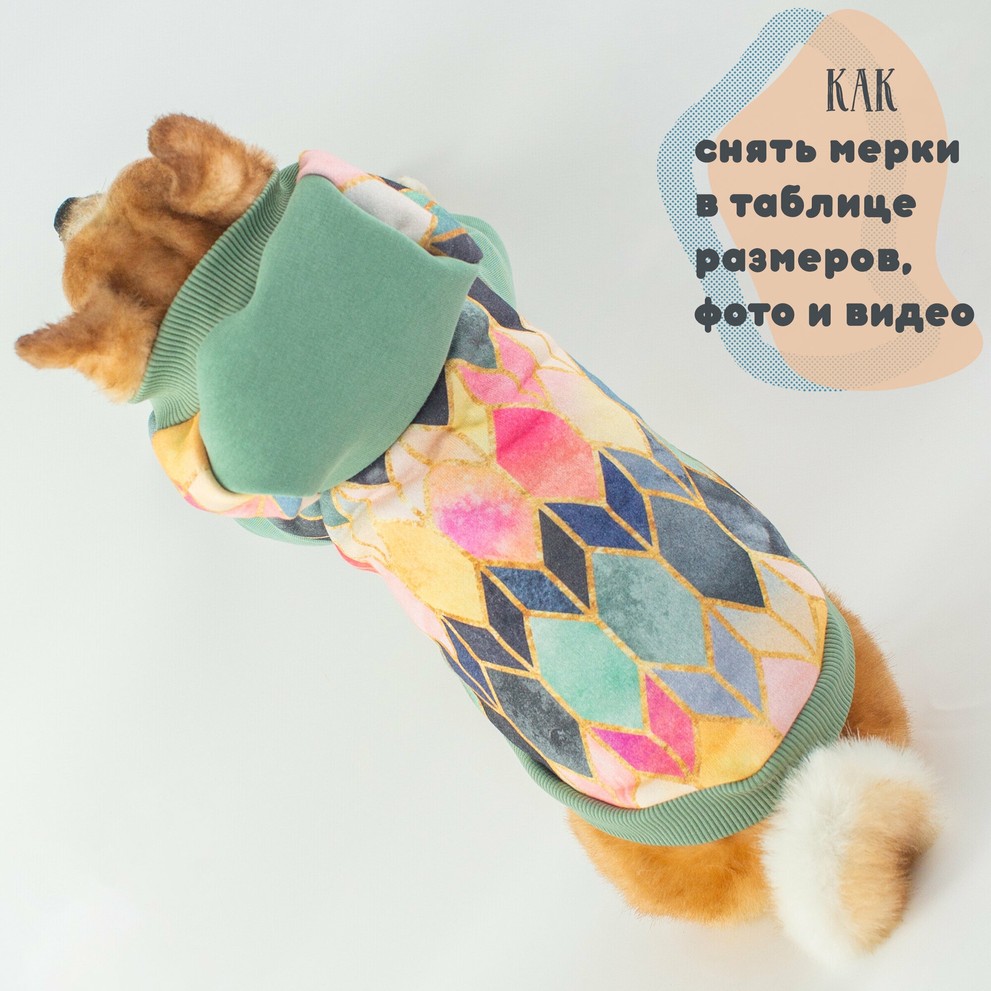 Тёплая толстовка для собак Элегантный Кот, Мятные Сладости , размер XL - фотография № 8