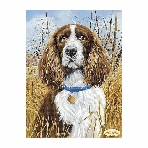 Спаниель, набор для вышивания