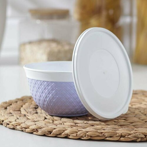 Миска с крышкой, 500 мл, 13,5×7,5 см, цвет микс (комплект из 10 шт)