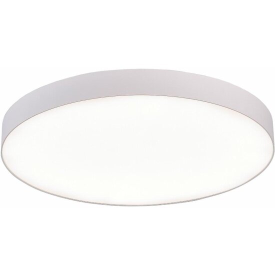 Потолочный светодиодный светильник ST Luce ST606.542.96