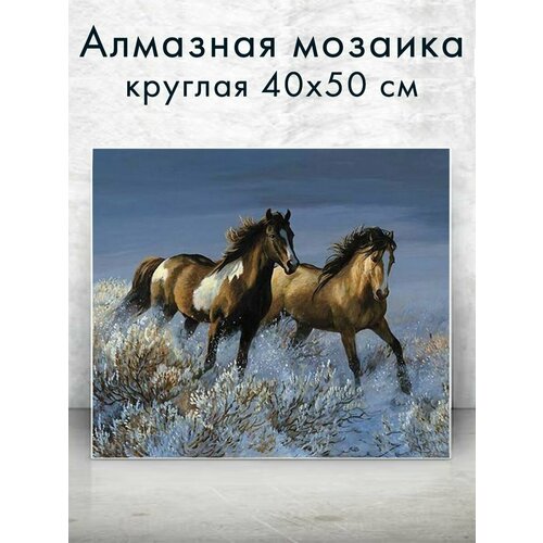 Алмазная мозаика (круглая) Пара скакунов 40х50 см