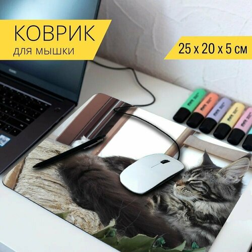 Коврик для мыши с принтом Мейнкун, кошка, кошки 25x20см. коврик для мыши с принтом кошка лампа кошки 25x20см