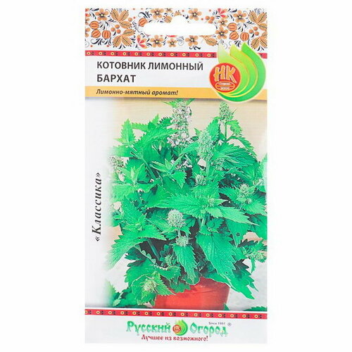 Семена цветов Котовник лимонный 