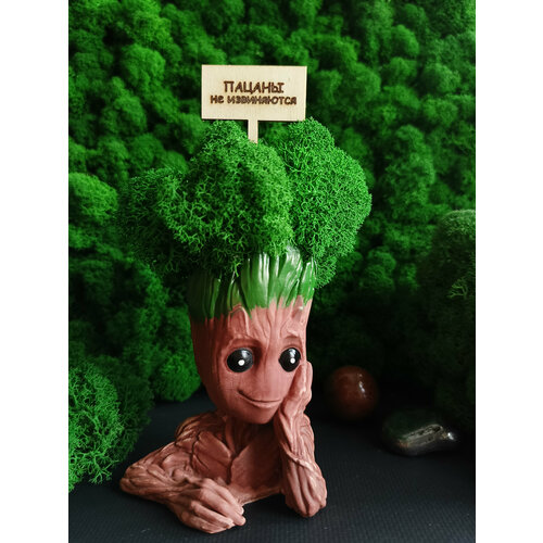 Грут со мхом + стик 