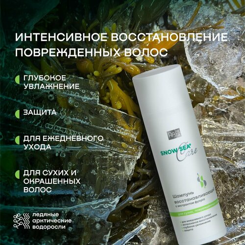 Шампунь восстанавливающий с экстрактом фукуса для сухих, поврежденных и окрашенных волос SNOW SEA Care АВ1918, 200 мл