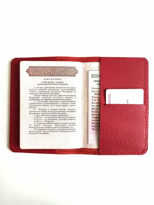 Обложка для паспорта SkinType Passport Red, красный