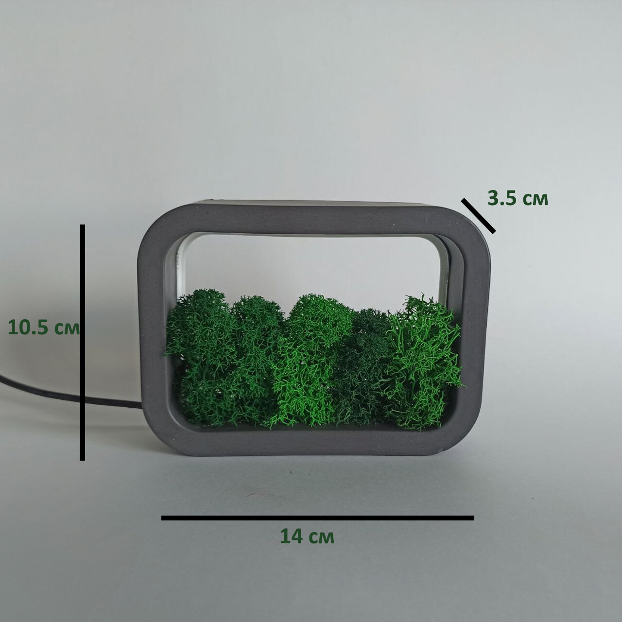 Умный ночник со стабилизированным мхом. Ночник Алиса. Графит. RGB - фотография № 3