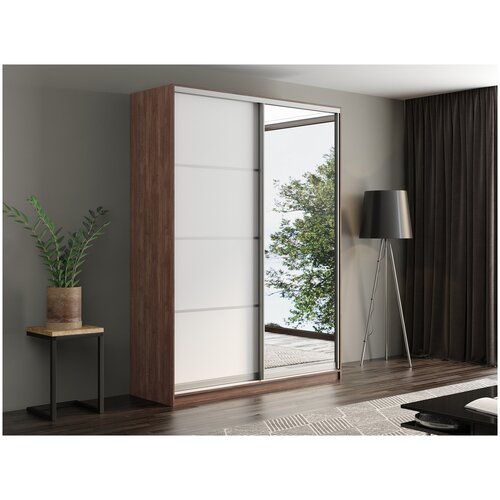 Шкаф-купе 2 дверный Express 120х220х60 см 2 зеркальные двери Венге