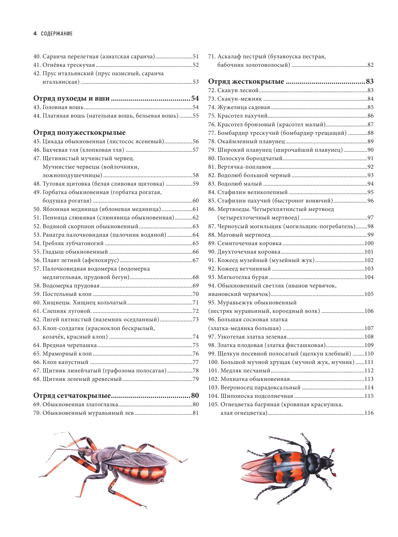 Насекомые. Иллюстрированная энциклопедия начинающего энтомолога. 240 популярных видов - фото №4