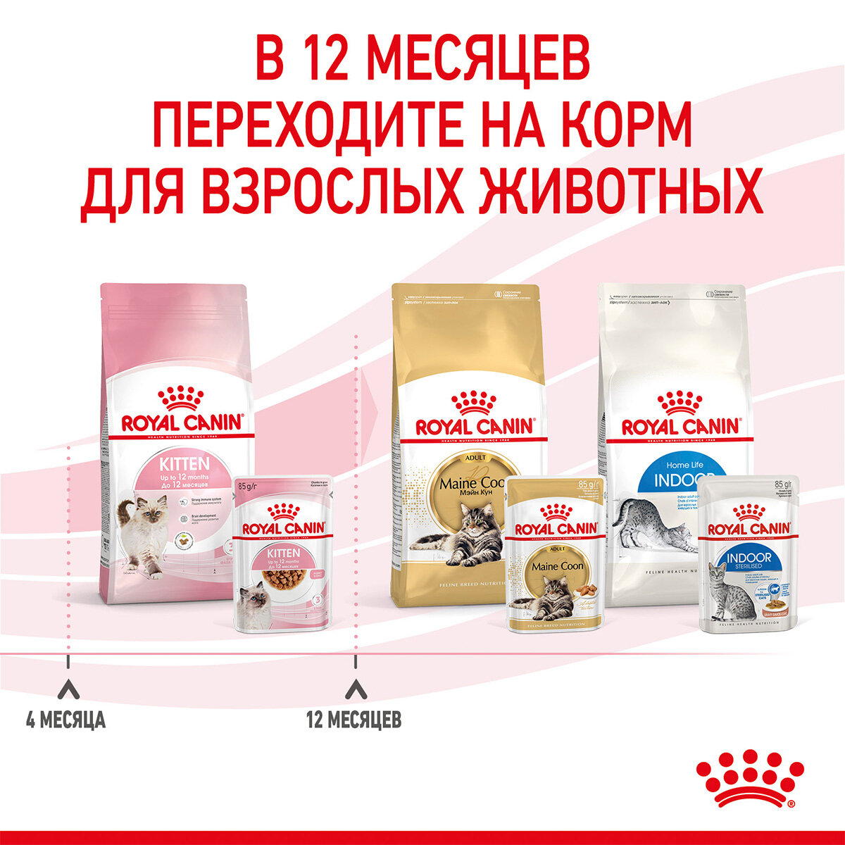 ROYAL CANIN KITTEN для котят в соусе пауч (85 гр х 28 шт) - фотография № 9