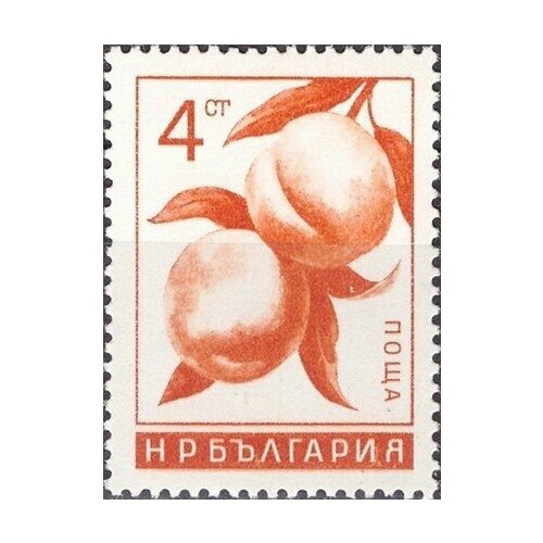(1965-045) Марка Болгария Персики Фрукты III Θ