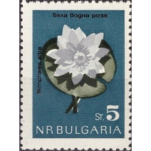 (1963-051) Марка Болгария Кувшинка белая Цветы II Θ