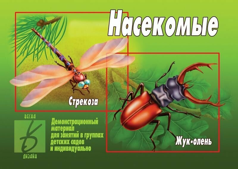 Демонстрационный материал "Насекомые"