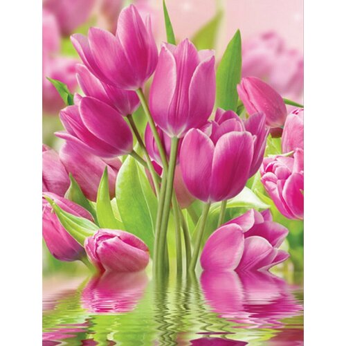 Фотообои бумажные глянцевые Розовые тюльпаны 196*260см (8 листов)