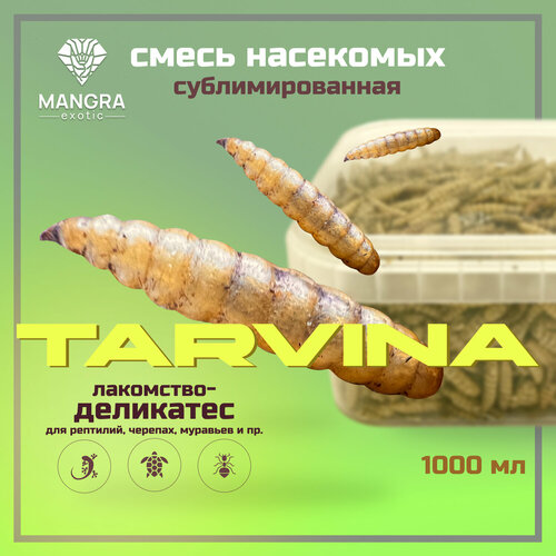 MANGRA exotic TARVINA, 1000 мл - смесь насекомых сублимированная (сухой корм для черепах, рептилий, ежей, муравьев, грызунов, птиц)