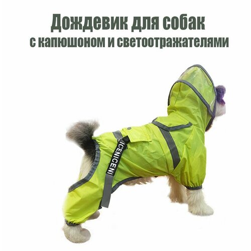 фото Дождевик для собак мелких и средних пород taotaopets