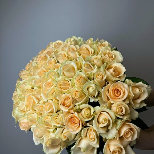 Изображение товара Живые цветы букет из 71 кремовой розы высотой 60 см "Кремовая лавина", сорт - "Пич Аваланж"
