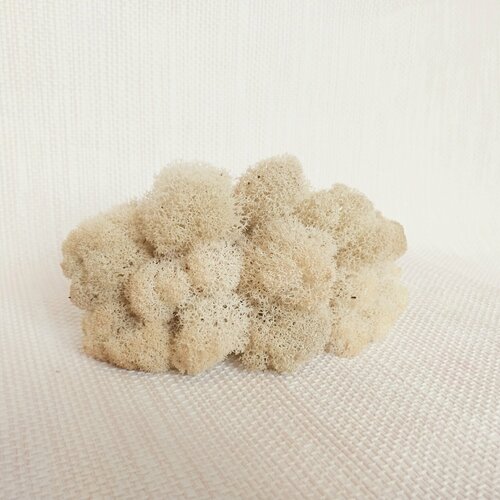 Ягель стабилизированный Слоновая кость от Norwegian Wood 50 гр