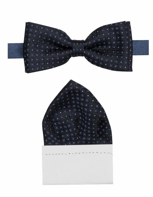 Бабочка DUNPILLO синий