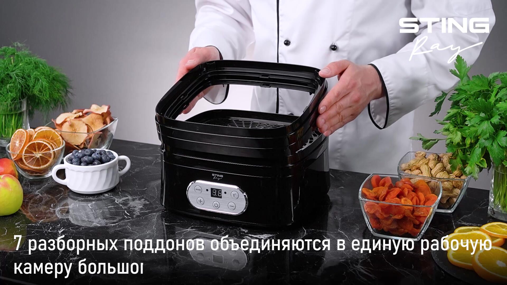 Дегидратор сушилка для овощей электросушилка STINGRAY ST-FD717B 9 поддонов (7 основных + 1 для пастилы + 1 для ягод) черный — фото 1