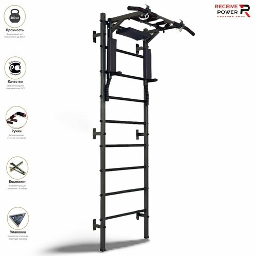 Шведская стенка Receive Power + турник 3в1 Мультихват 2.0