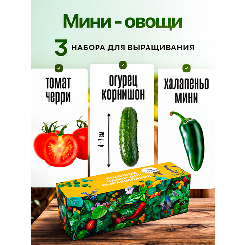 Набор для выращивания растений Овощи Томаты Черри Острый Перец Огурцы