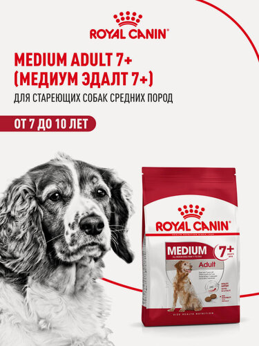 Изображение товара Сухой корм для собак Royal Canin Medium Adult 7+ для средних пород, 4 кг