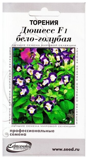 Торения Дюшес бело-голубая 5 семян