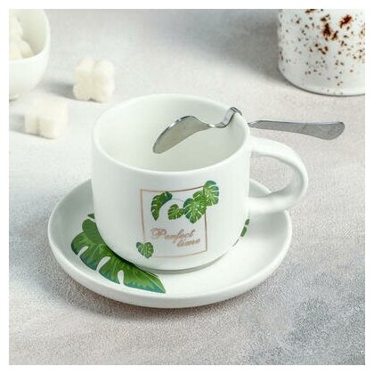 Набор чайный Ботаника, 3 предмета: чашка 220 мл, блюдце, ложка, цвет микс 3806999 .