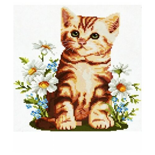 Набор для вышивки крестом NKF 