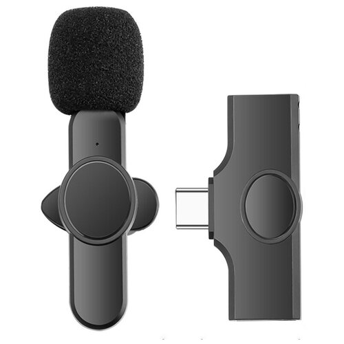 Петличный микрофон Bluetooth с разъемом Type-c 2.4G