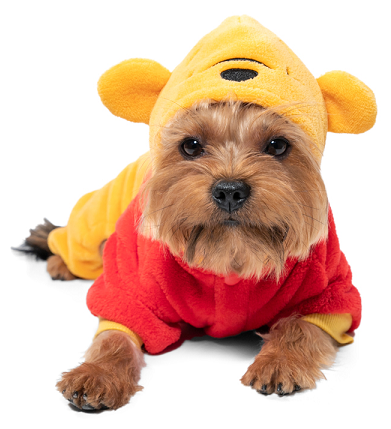 Костюм Triol Disney Fun Winnie-the-Pooh с юбочкой, демисезонный M, размер 30см