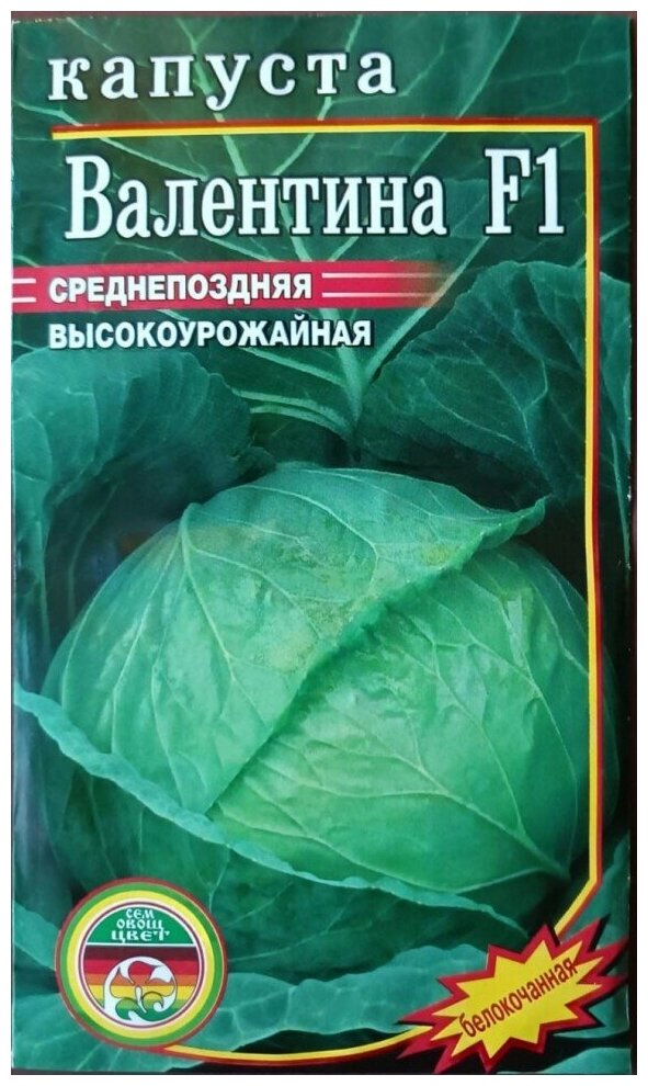 Семена Капуста белокочанная Валентина F1 высокоурожайная среднепоздняя 0,5гр