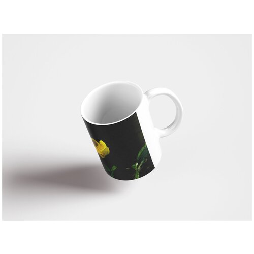 фото Кружка "бархатцы болотные, ганеман фут парниковых, желтый" 320 мл lotsprints