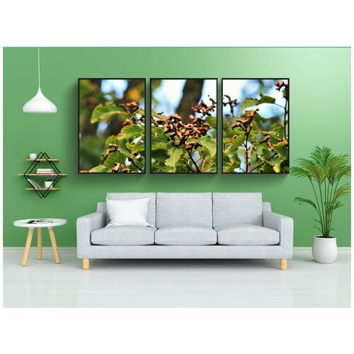 фото Набор модулных постеров для интерьера "японский изюм дерево, изюм, дерево" 60x90 см. в тубусе, без рамки lotsprints