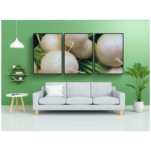 фото Набор модулных постеров для интерьера "редька, овощи, еда" 60x90 см. в тубусе, без рамки lotsprints
