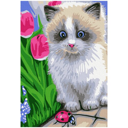 фото Набор юного художника 20х30 маленький котёнок molly ( kh0862 )