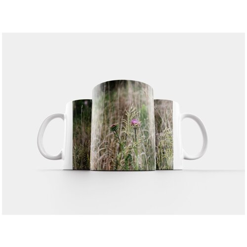 фото Кружка "чертополох, полевые цветы, природа" 320 мл lotsprints