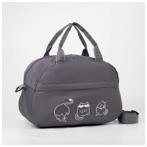 фото Сумка спортивная, 4558417 серая no name