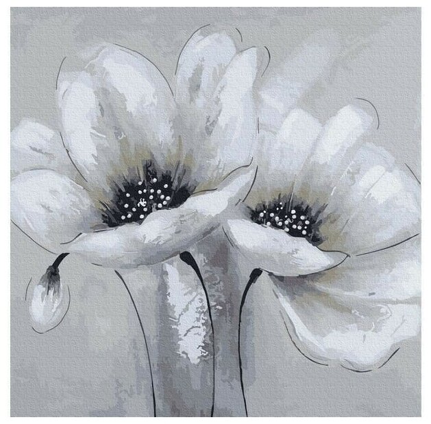Картина по номерам Molly Белые цветы 16 цветов 30х30 KH0945