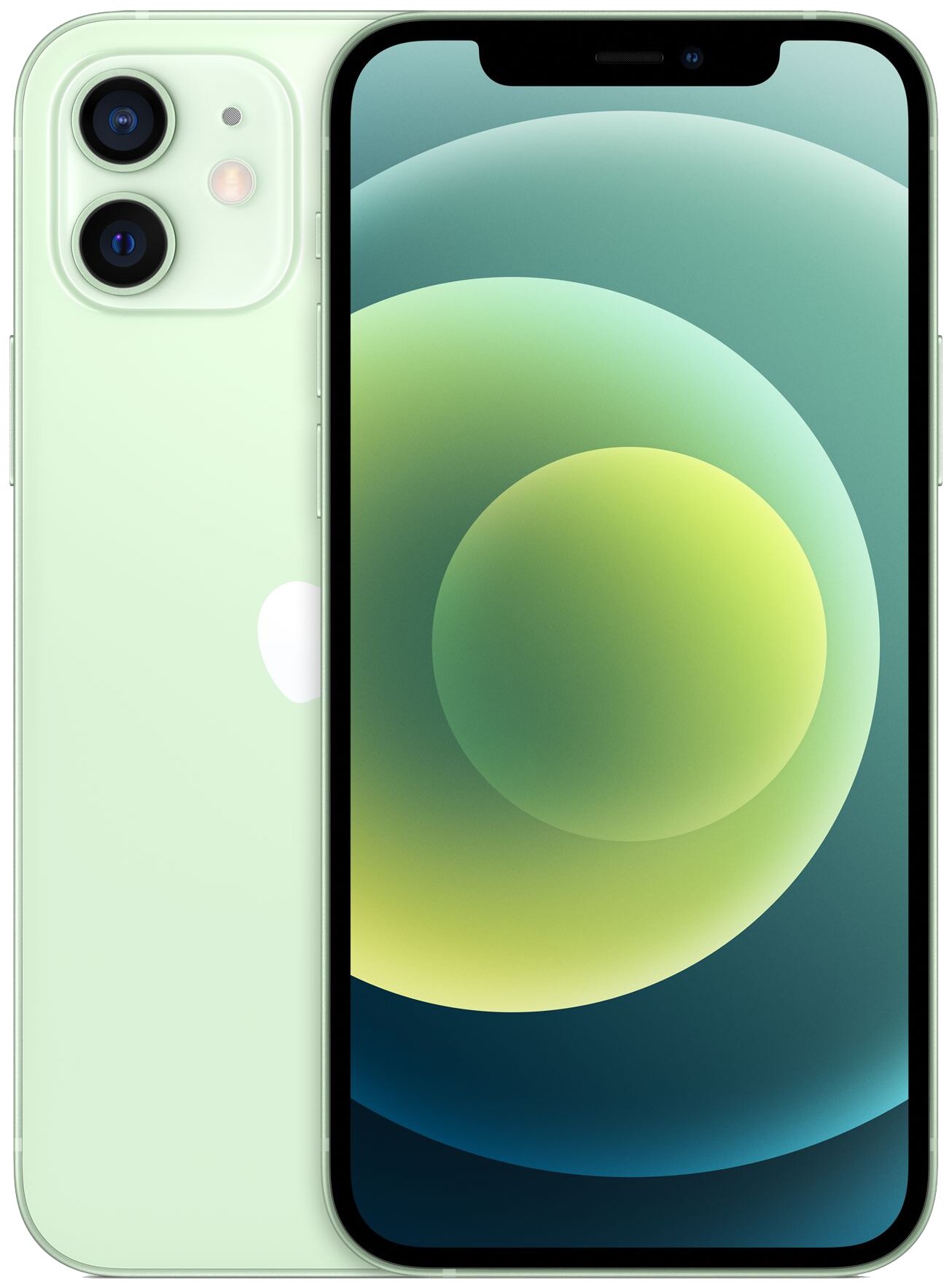 Смартфон Apple iPhone 12 256Gb Dual SIM (Цвет: Green)
