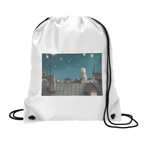 фото Сумка для обуви coolpodarok персидский кот арт