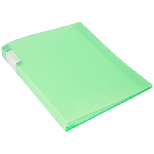 Бюрократ Папка с файлами Gems А4 60 листов цвет светло-зеленый 1014864