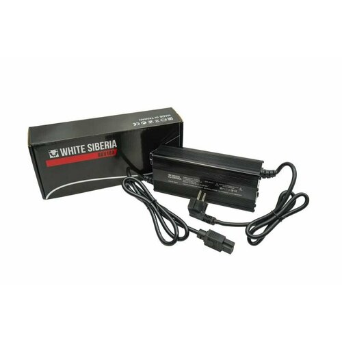 Зарядное устройство для электроскутеров 60v10a 1490000₽