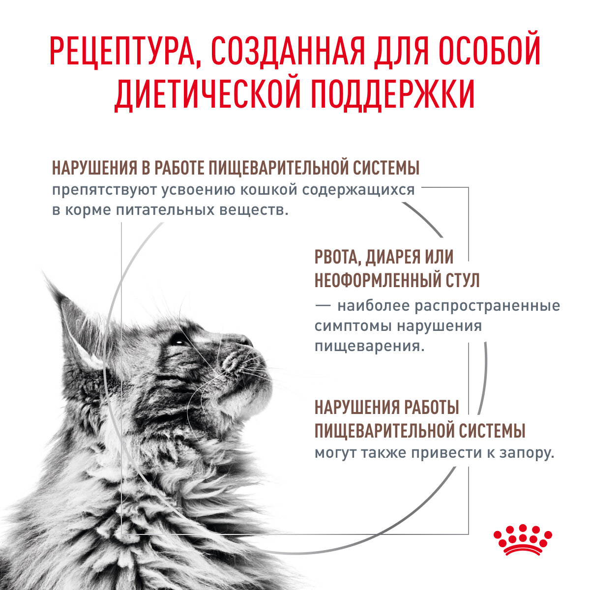 Корм для кошек ROYAL CANIN - фото №3