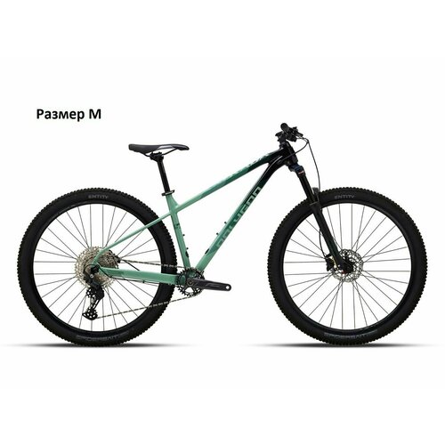 Polygon XTRADA 6 29 2023 M 8820000₽