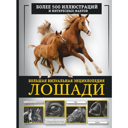 Лошади. Большая визуальная энциклопедия Спектор А. А. АСТ