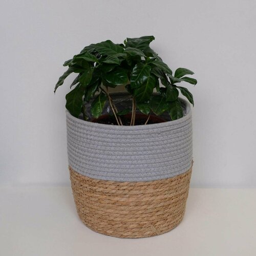 Корзина- кашпо для растений, д25, в24